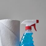 Aus welchen Reinigungsarten kann gewählt werden?