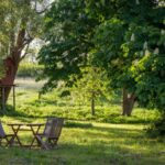 Einen ruhigen Garten schaffen: Die 10 wichtigsten Punkte