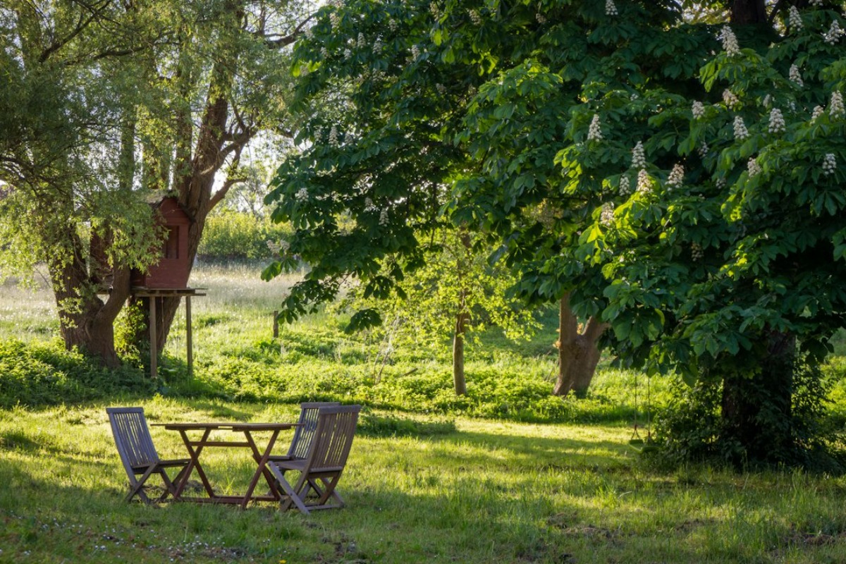 Titelbild zu „Einen ruhigen Garten schaffen: Die 10 wichtigsten Punkte“