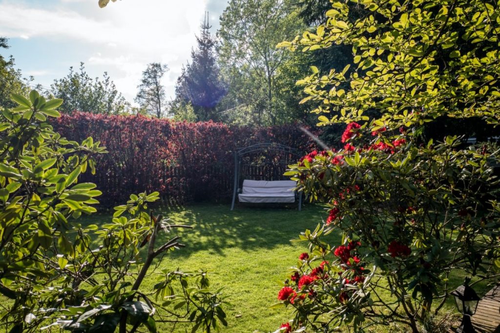 Garten ohne Chemie