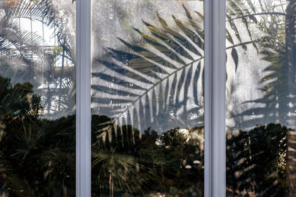 Wintergarten planen: Worauf Sie beim Anbau achten